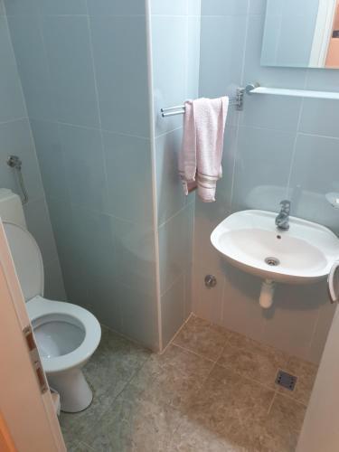 Apartamento Vojvode Stepe-apartman