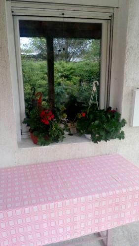 Apartamento Anni