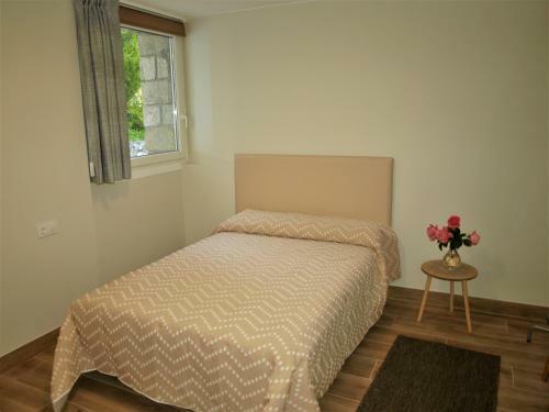 Albergue Pallanes