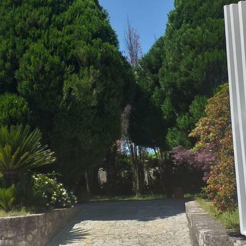 Albergue Pallanes
