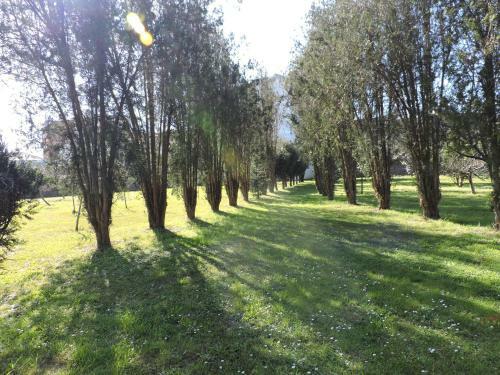 Albergue Pallanes