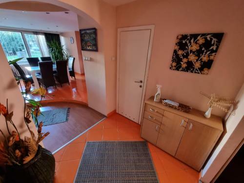 Apartment Deluxe Vo?dovac