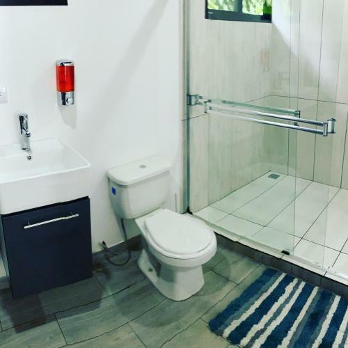 Apartamento Bongalow Villa Sarchi