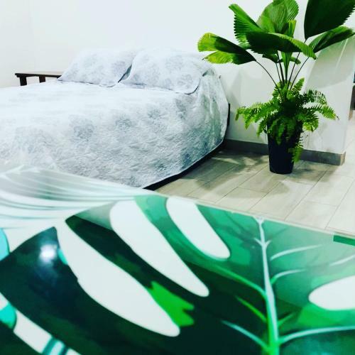 Apartamento Bongalow Villa Sarchi