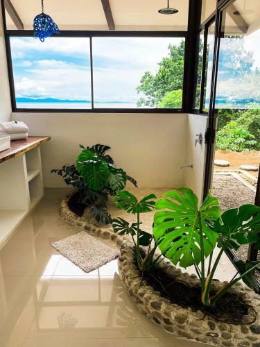 Hotel Akua Suites Ocean View