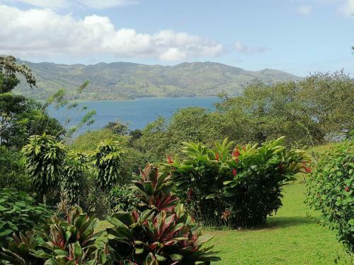 Bed & Breakfast La Ceiba Tree Lodge