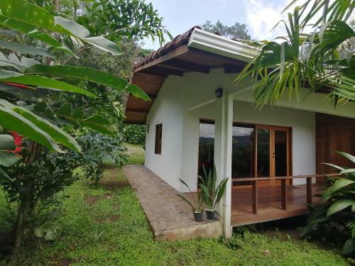 Bed & Breakfast La Ceiba Tree Lodge