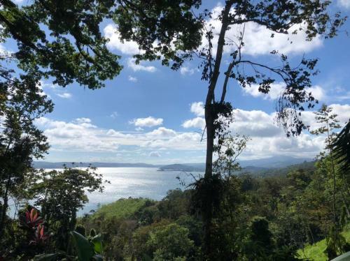 Bed & Breakfast La Ceiba Tree Lodge