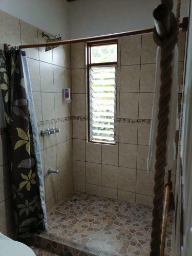 Bed & Breakfast La Ceiba Tree Lodge