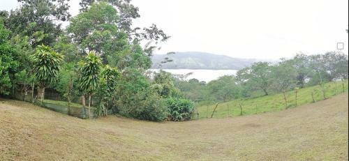 Bed & Breakfast La Ceiba Tree Lodge