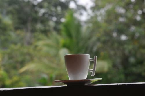 Bed & Breakfast Hospedaje Amanecer