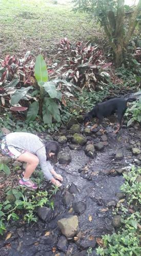 Bed & Breakfast Hostel Pacuare