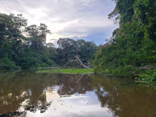 Hostal Casa Thirema Tortuguero