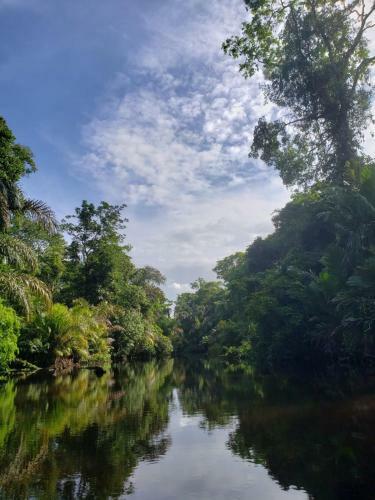 Hostal Casa Thirema Tortuguero