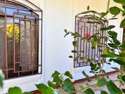Hostal Natural Experience House