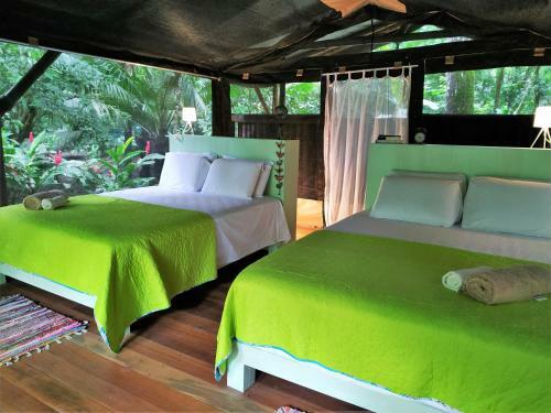 Four Monkeys Eco Lodge