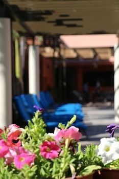 Hotel Armida