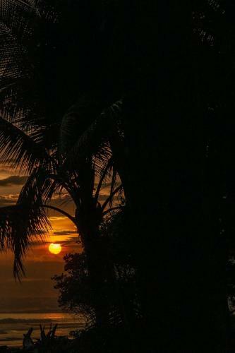 Apartamento Hacienda La Moringa Playa Hermosa-jaco B&B