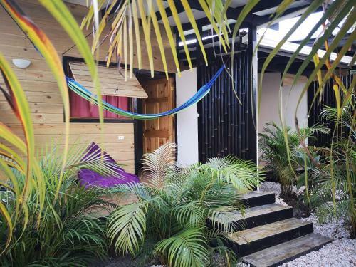 Santeria Lodge