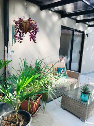 Apartamento Bungle In The Jungle