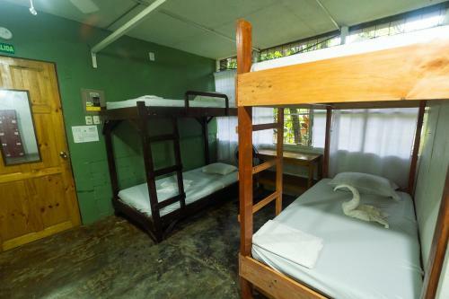 Corcovado Foundation Biohostel