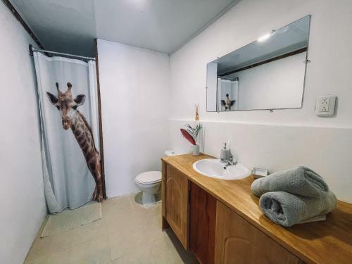 Hostal El Gato Rojas Surf Hostel