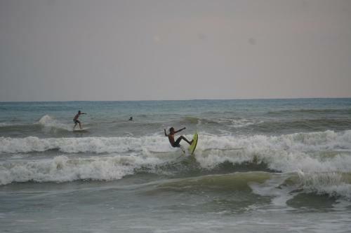 Hostal El Gato Rojas Surf Hostel