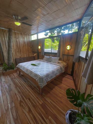 Hostal El Gato Rojas Surf Hostel