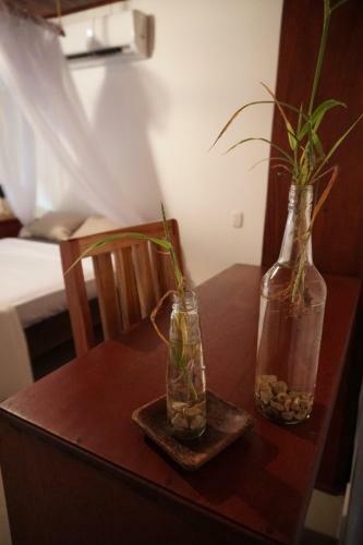 Hostal El Gato Rojas Surf Hostel