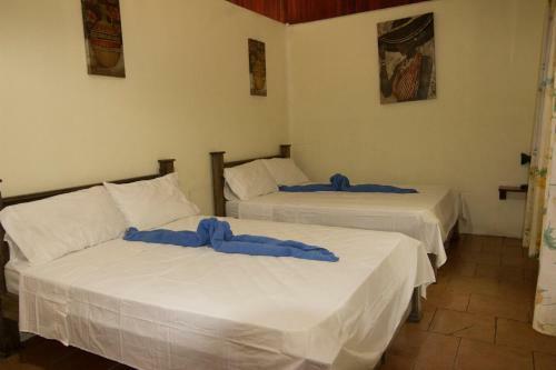 Hostal Casa Tucanes