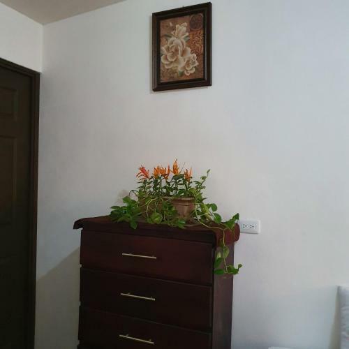 Hostal Bah�a Ballena Loft