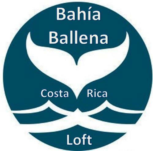 Hostal Bah�a Ballena Loft