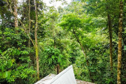Apartamento Lost Pools Bungalow #sloth