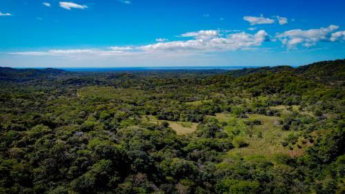 Hostal Ca�afistula Fourth Dimension