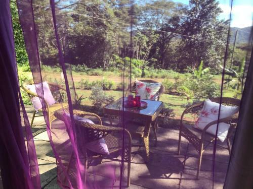 Bed & Breakfast Mimi Lodge Costa Rica