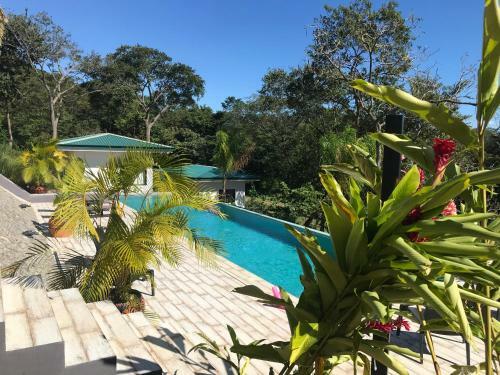 Bed & Breakfast Mimi Lodge Costa Rica