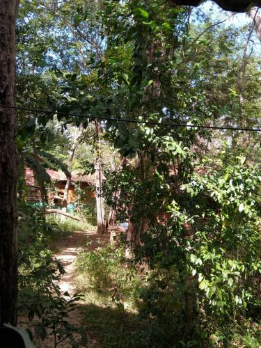 Agroturismo Pachamama