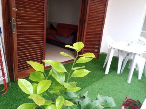 Apartamento En La Playa
