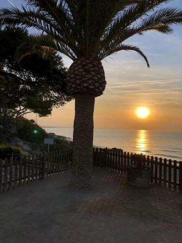 Apartamento En La Playa