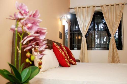 Bed & Breakfast Carolina Guesthouse