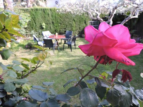 Villa Doree 395