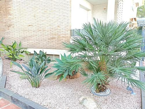 Apartamento Villa Adriana 202a