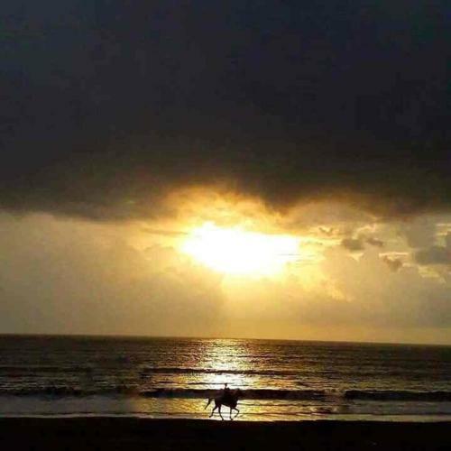 Magic Villa 4bhk Dahanu