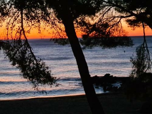 Apartamento �tico de Dise�o Sobre La Cala de Las Sirenas!!