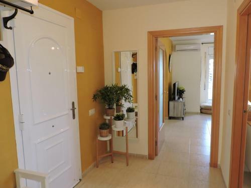 Apartamento Doree 550