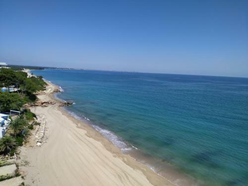 Miami Apartamento Castell�