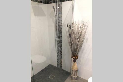 Apartamento Bel Appartement Face � La Mer