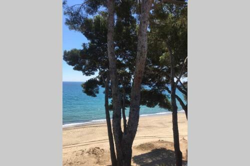 Apartamento Bel Appartement Face � La Mer
