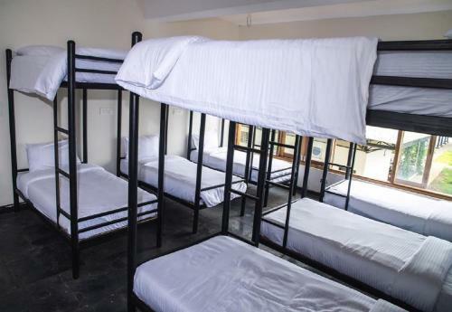Hotel Starling River Resort