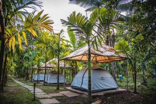 Hotel Dandeli Jungle Resort